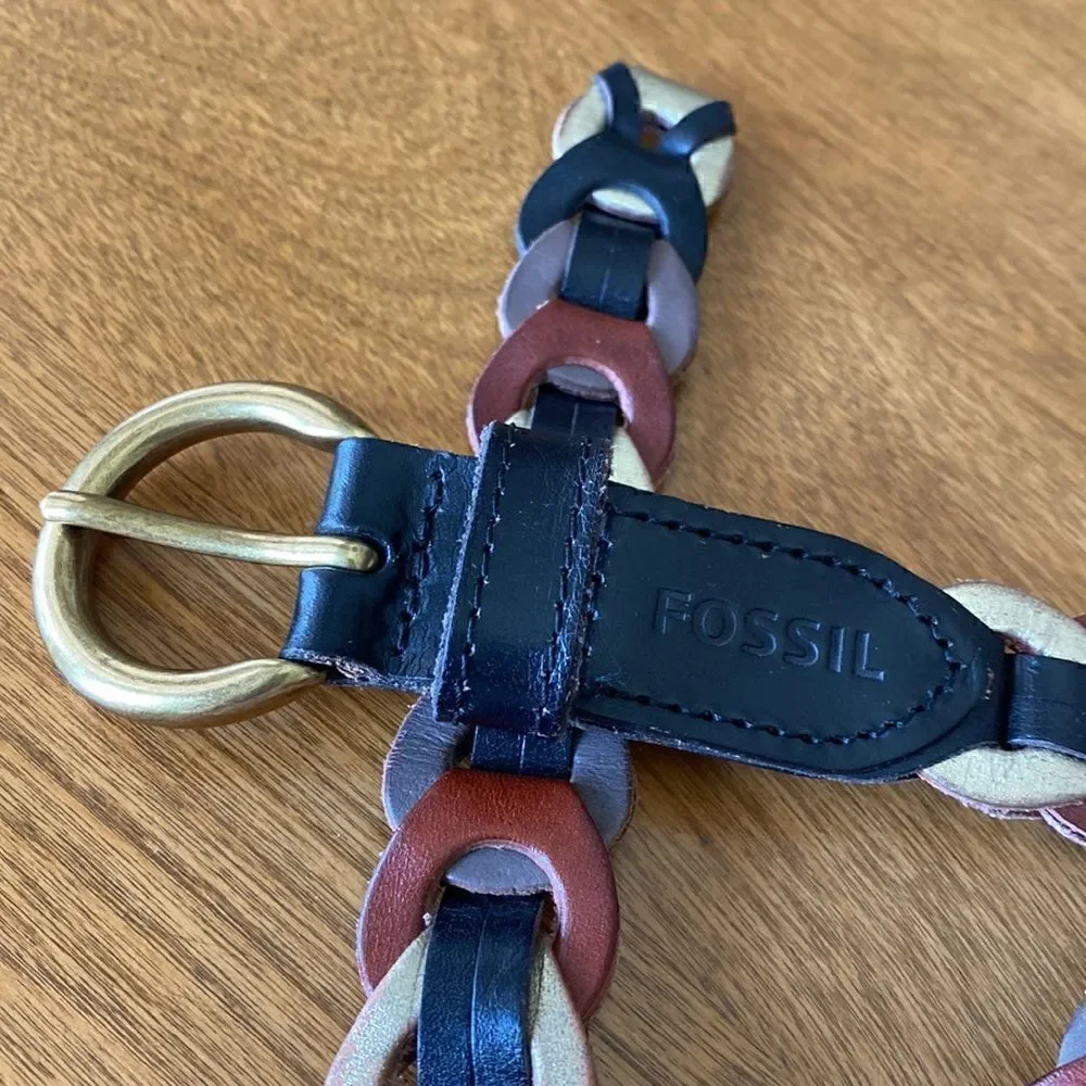 Multi colored  Fossil  belt